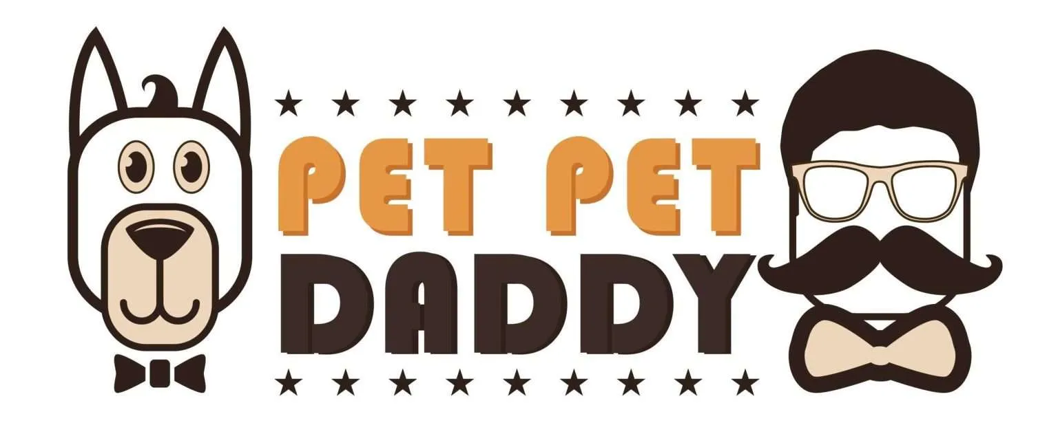 GEO · 合作客户标志:cropped Pat Pat Daddy2 page 0001 scaled 1 1536x615